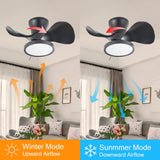 Ocioc Quiet Ceiling Fan with LED Light 22" Large Air Volume Remote Control for Kitchen Bedroom Dining Room Patio (NEW, OPEN BOX)