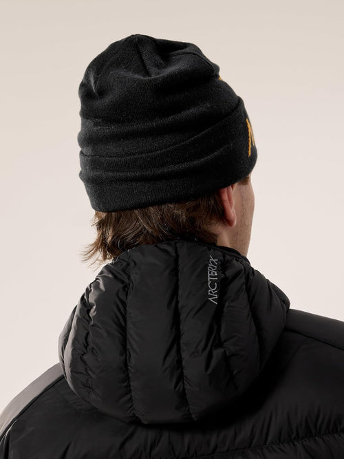 Arc'teryx Bird Word Toque Unisex | Warm, Versatile Toque Made with Recycled Materials