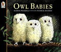 Owl Babies, By Author Martin Waddell, Illustrated By Patrick Benson (Ages 3-7), Paperback