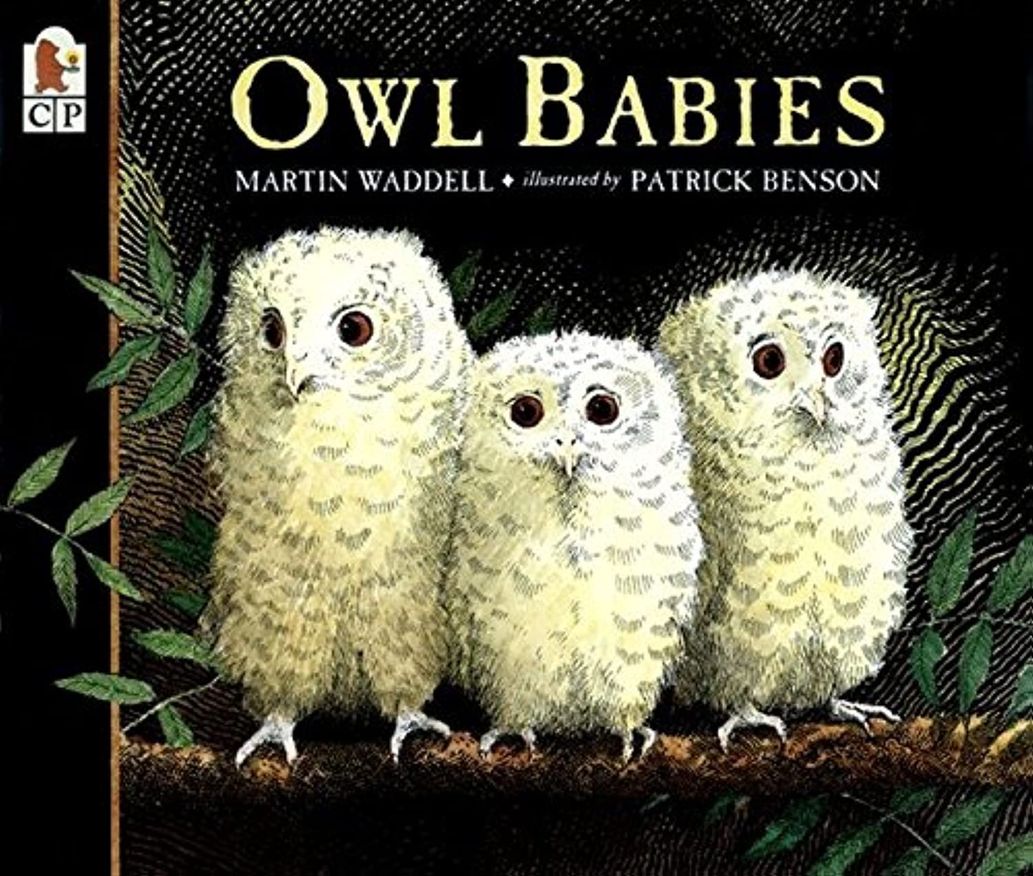Owl Babies, By Author Martin Waddell, Illustrated By Patrick Benson (Ages 3-7), Paperback