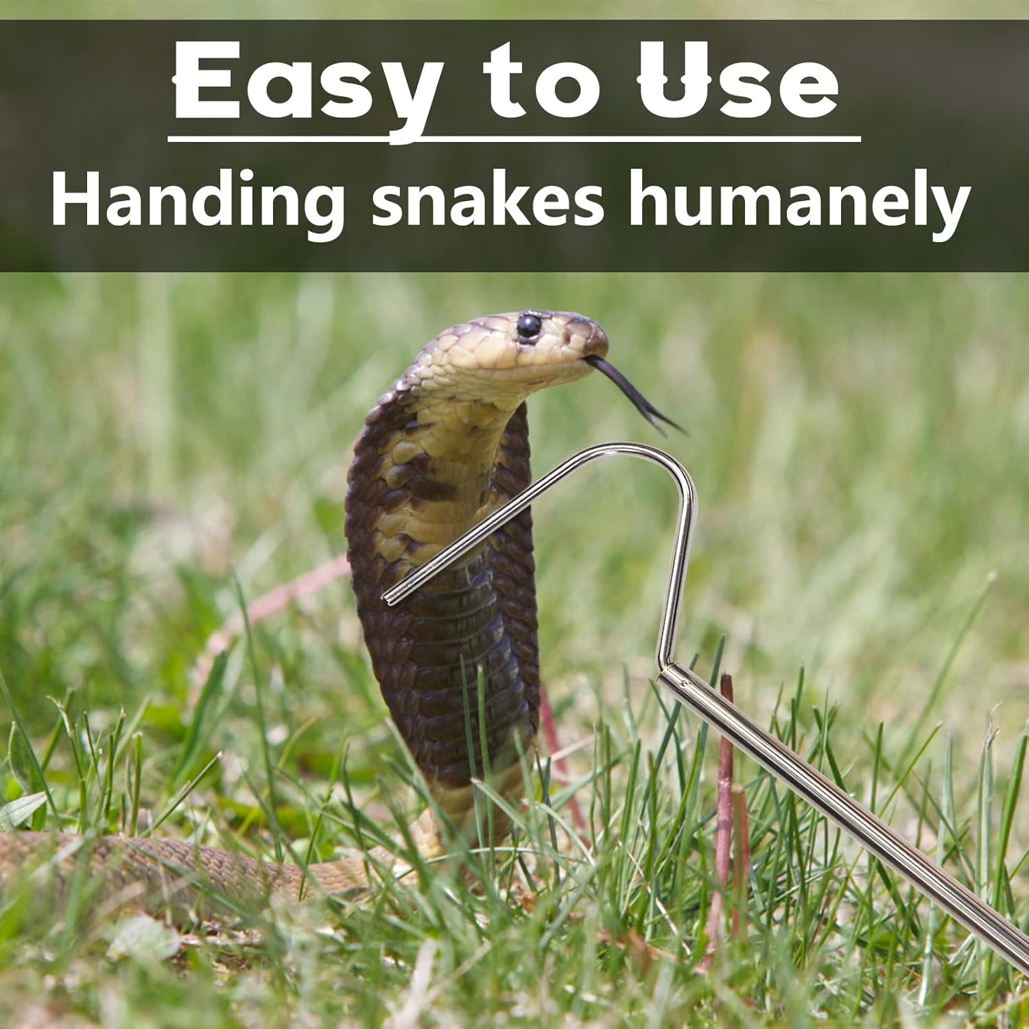 Animal Handling Gloves Bite Proof with 40inch Collapsible Snake Hook