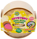 Mystery Dim Sum Surprise Bao Buddy Maltose Mystery Pack - Box of 12 Dumplings