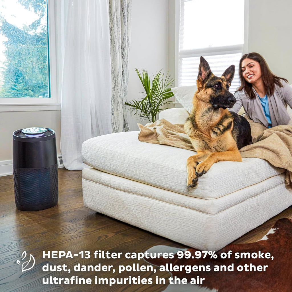 Instant HEPA Quiet Air Purifier , with Plasma Ion Technology Living Room AP300 (Color - Charcoal)