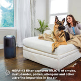 Instant HEPA Quiet Air Purifier , with Plasma Ion Technology Living Room AP300 (Color - Charcoal)