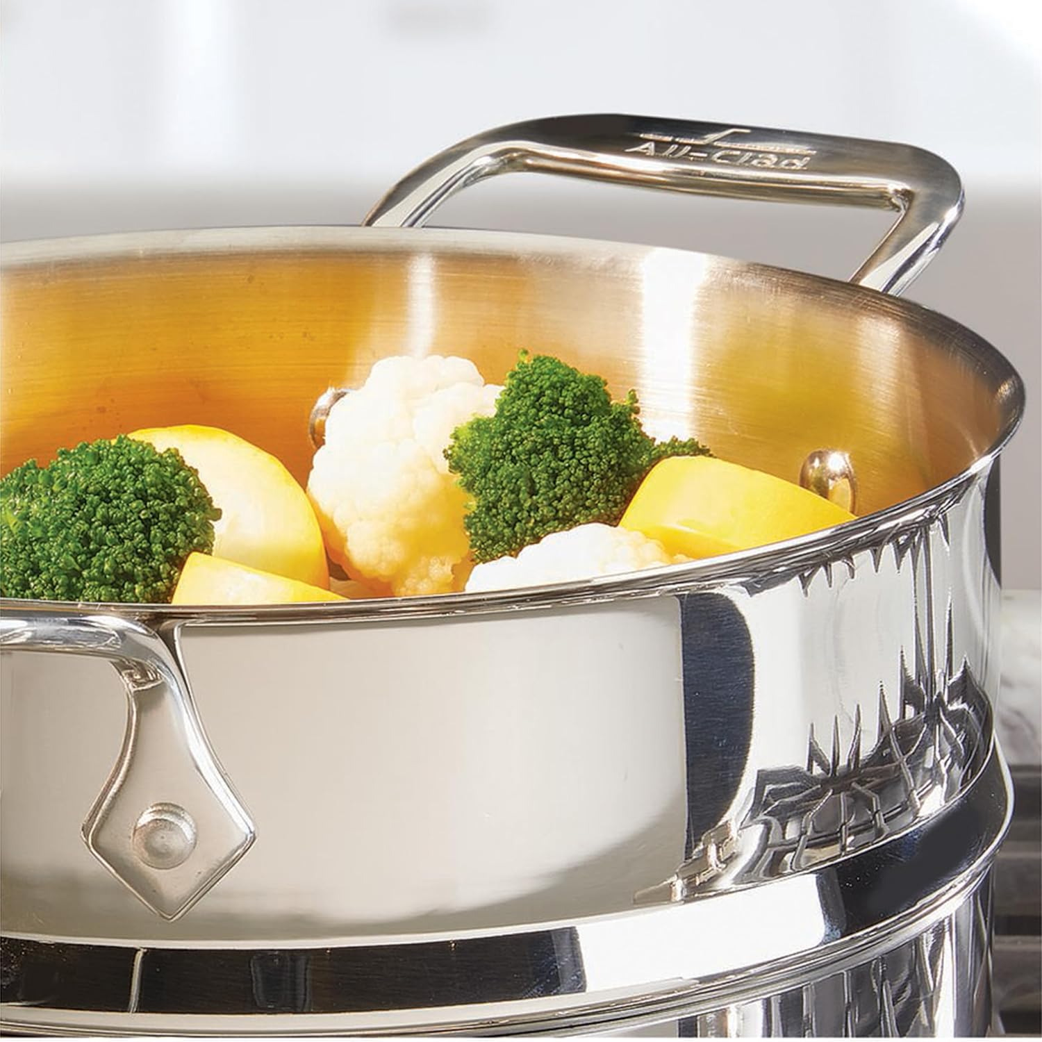 ALL-CLAD Stainless Steel 5QT Steamer Set