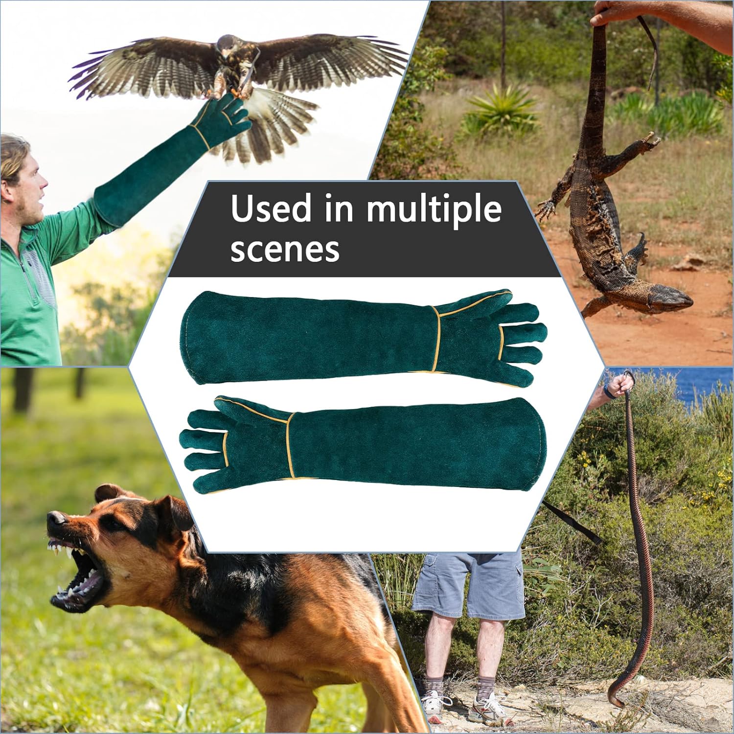 Animal Handling Gloves Bite Proof with 40inch Collapsible Snake Hook
