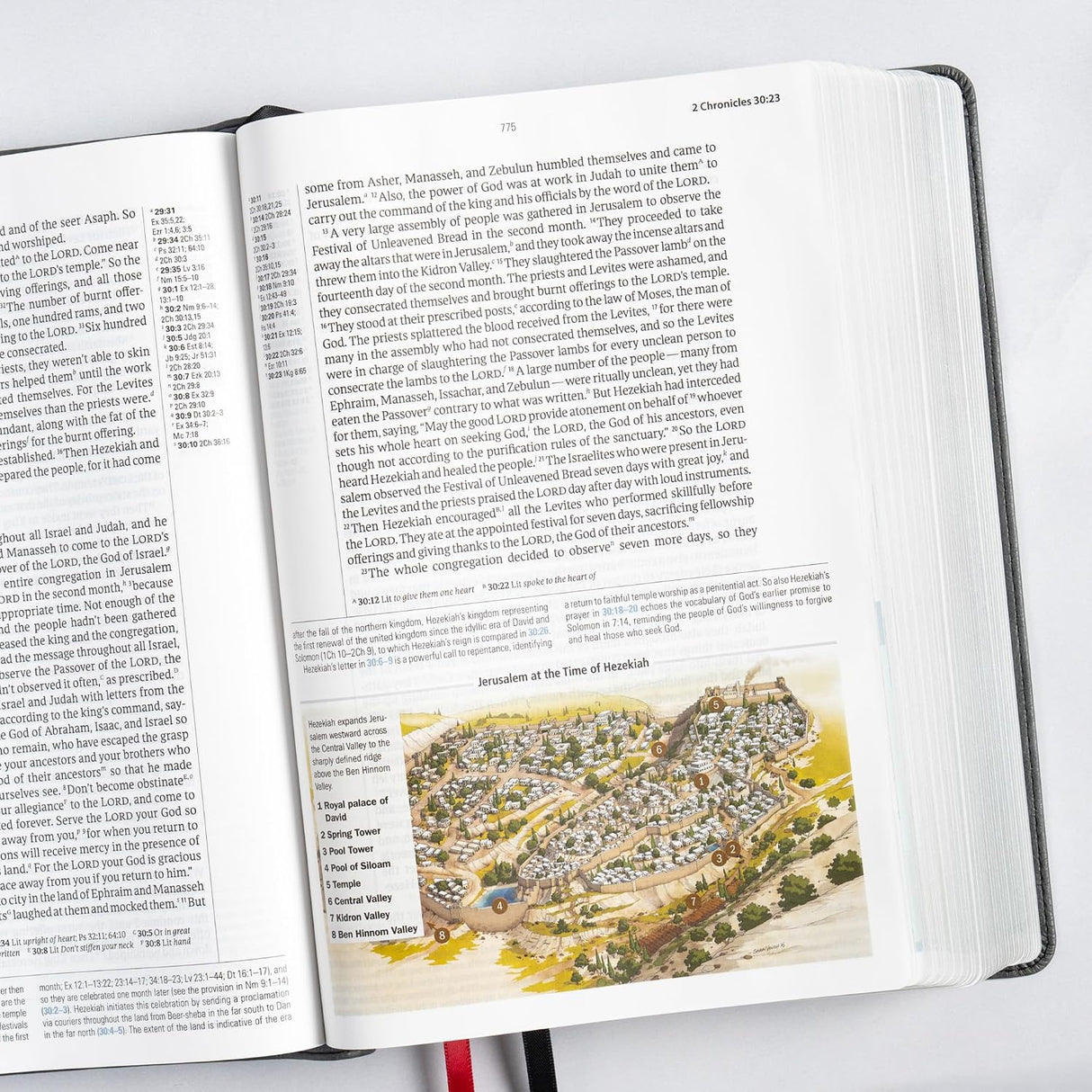 CSB Baker Illustrated Study Bible, Charcoal LeatherTouch, Red Letter, Full Color Interior