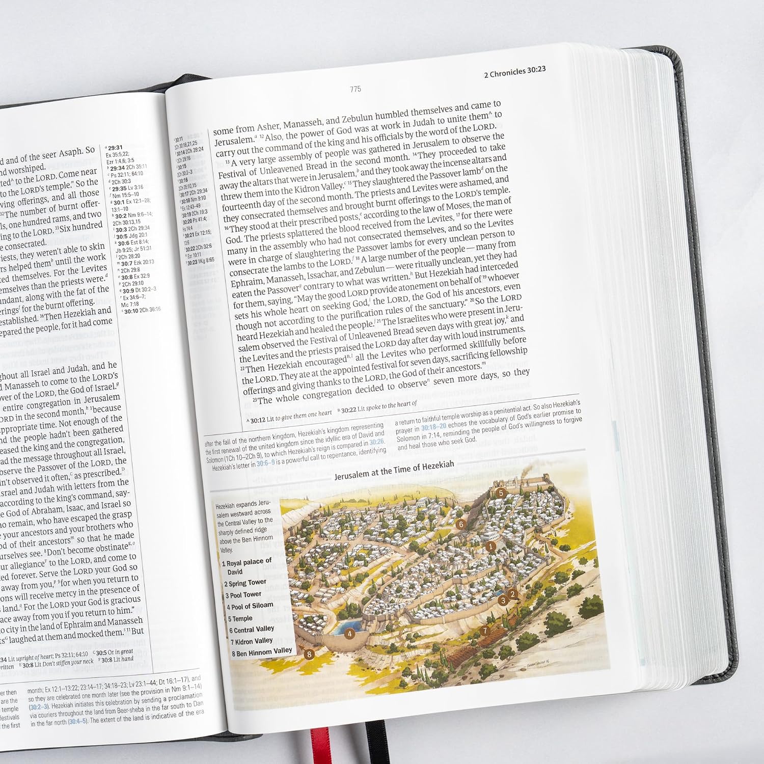 CSB Baker Illustrated Study Bible, Charcoal LeatherTouch, Red Letter, Full Color Interior