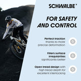 Schwalbe Albert Radial TLR Folding Tyre