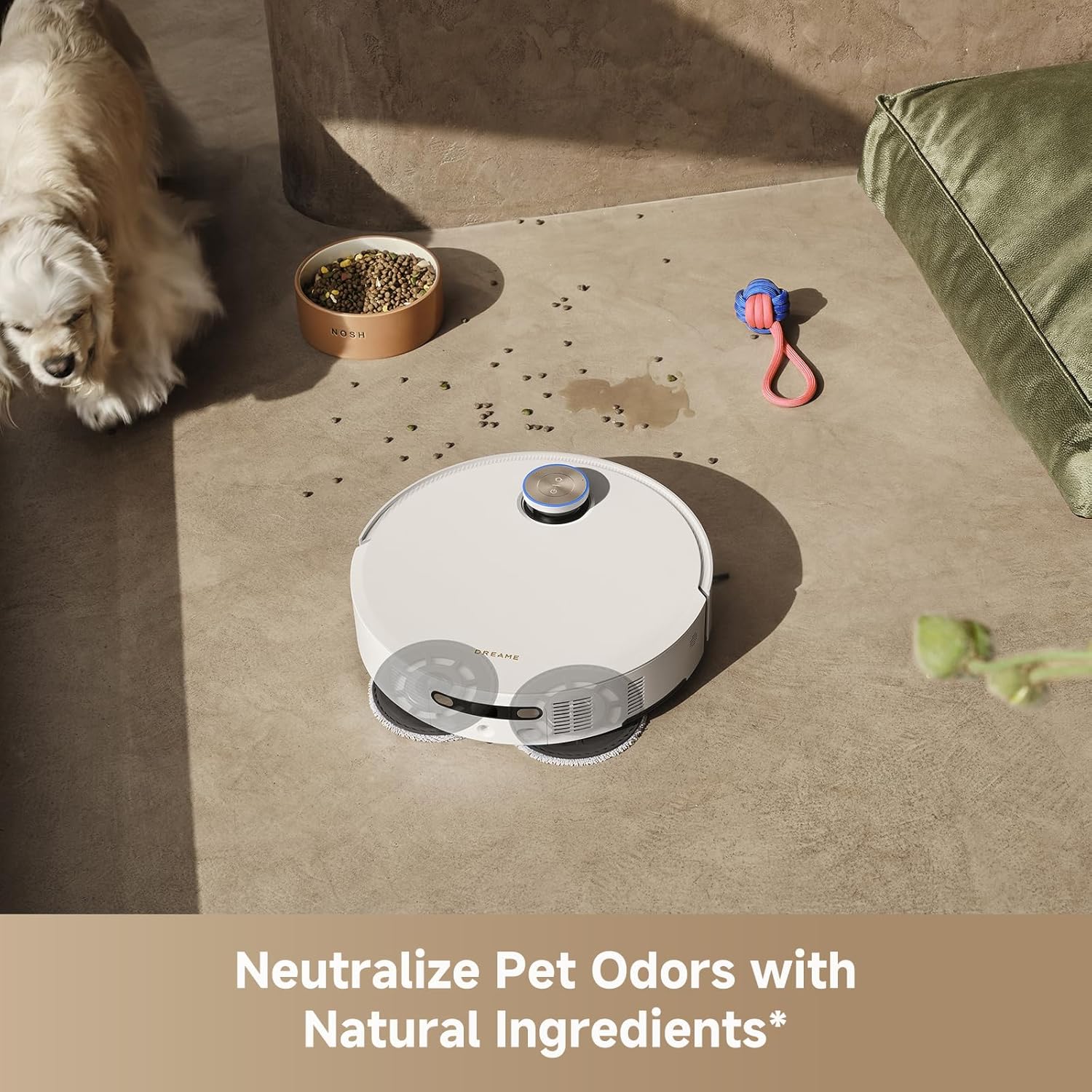 DREAME Robot Vacuum Cleaning Soluition, Pet Odor Solution, Safe and Gentle Natural Plant-Based Ingredients, 33.8 FL OZ(1L)