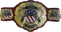 IWGP United States Championship Replica Belt, 4MM Brass Plates, Red Leather Strap, Adult Size Adjustable, Professional Wrestling Collectible Title
