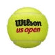Wilson US Open Extra Duty Tennis Balls (Case 72 count)