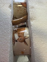 Pine Forest 16 oz. Woodland Ceramic Mugs, Set of 4 – Autumn Wildlife Coffee Cups with Fox, Owl, Deer & Raccoon