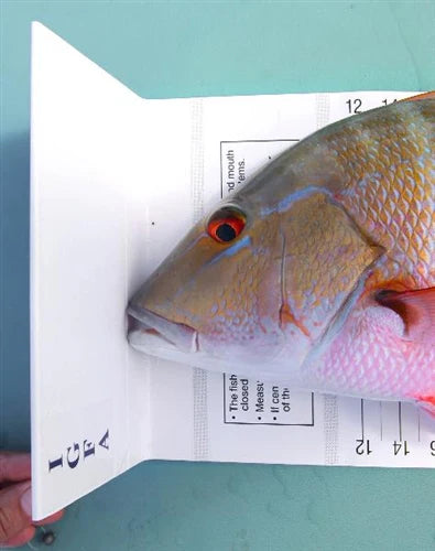 Official IGFA World Record Measuring Device ATL (200 CM)