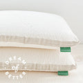 Avocado Molded Latex Pillow-Standard/Single