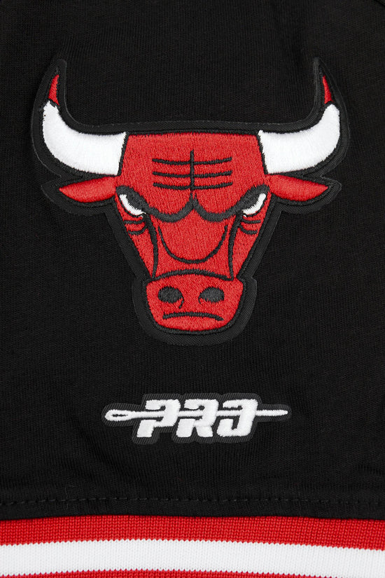 *NBA CHICAGO BULLS CLASSIC BIG BOY'S SHORT SLEEVE STRIPED RIB TEE, Youth L(14/16)