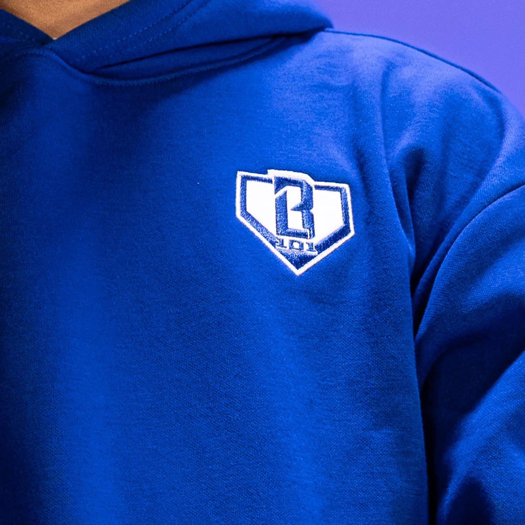 Baseball Lifestyle 101 - Youth Hoodie Blue - YM