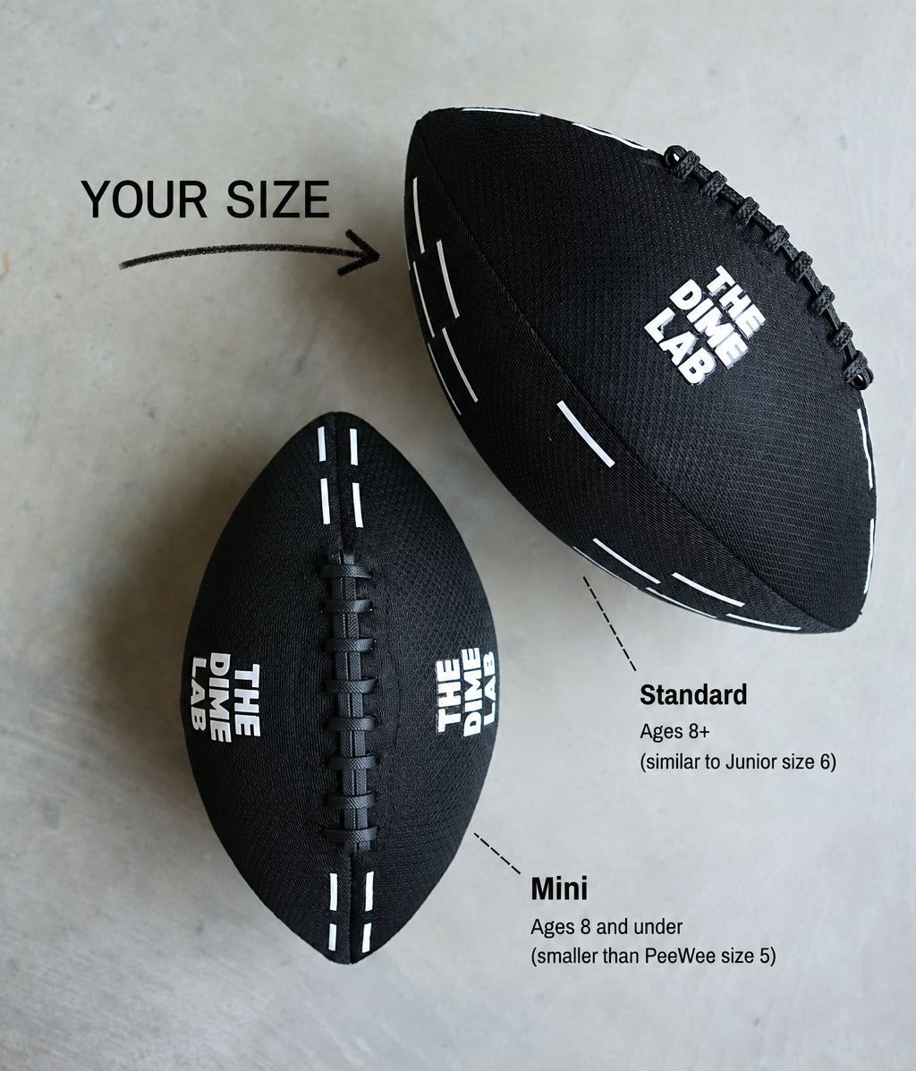 THE DIME LAB Water Football - Standard 10.5" Black/White
