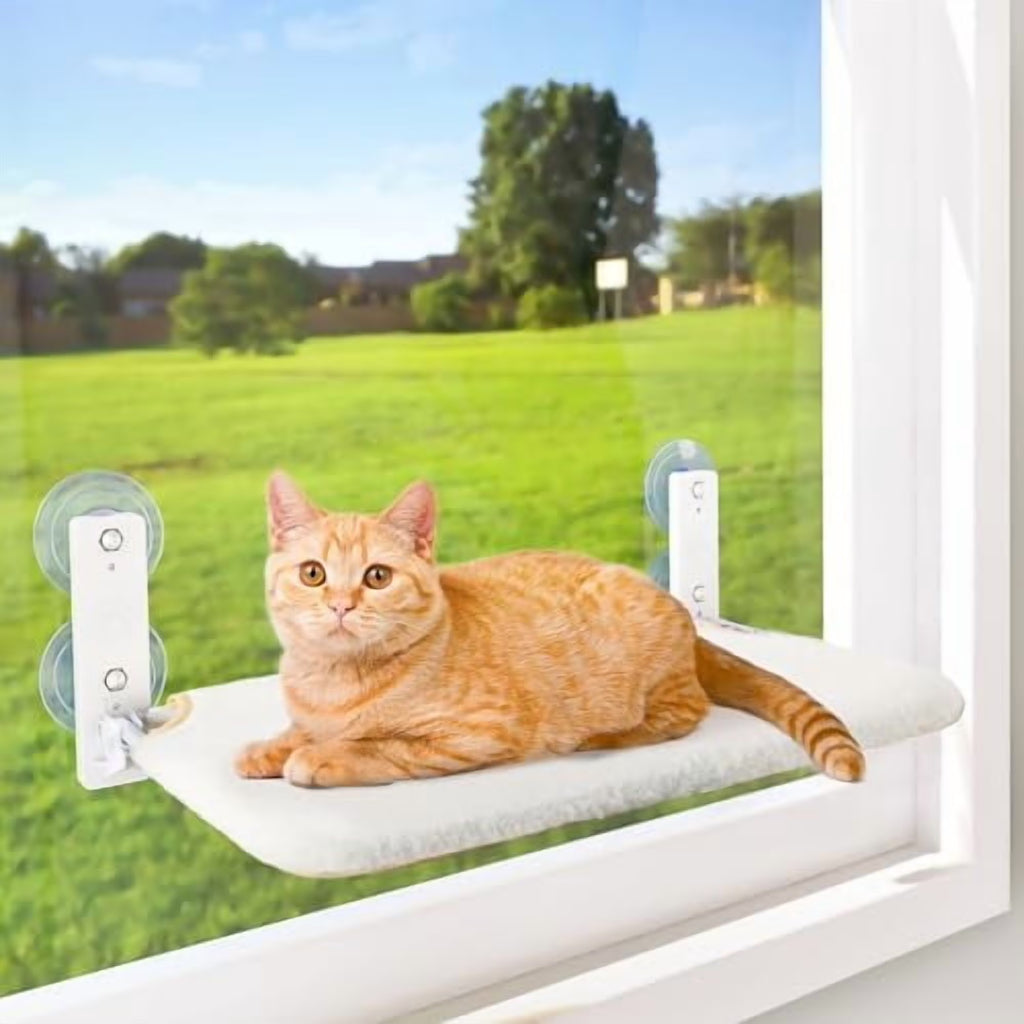 Cat Window Perch, Cordless Cat Hammock, Foldable Cats Window Bed for Large Cats with 4 Strong Suction Cups, Solid Metal Frame and Removable Cushion Bed Cover