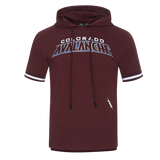 NHL Colorado Avalanche Classic Chenille Men's Short Sleeve Pullover Hoodie - Wine - Size XL