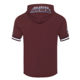 NHL Colorado Avalanche Classic Chenille Men's Short Sleeve Pullover Hoodie - Wine - Size XL