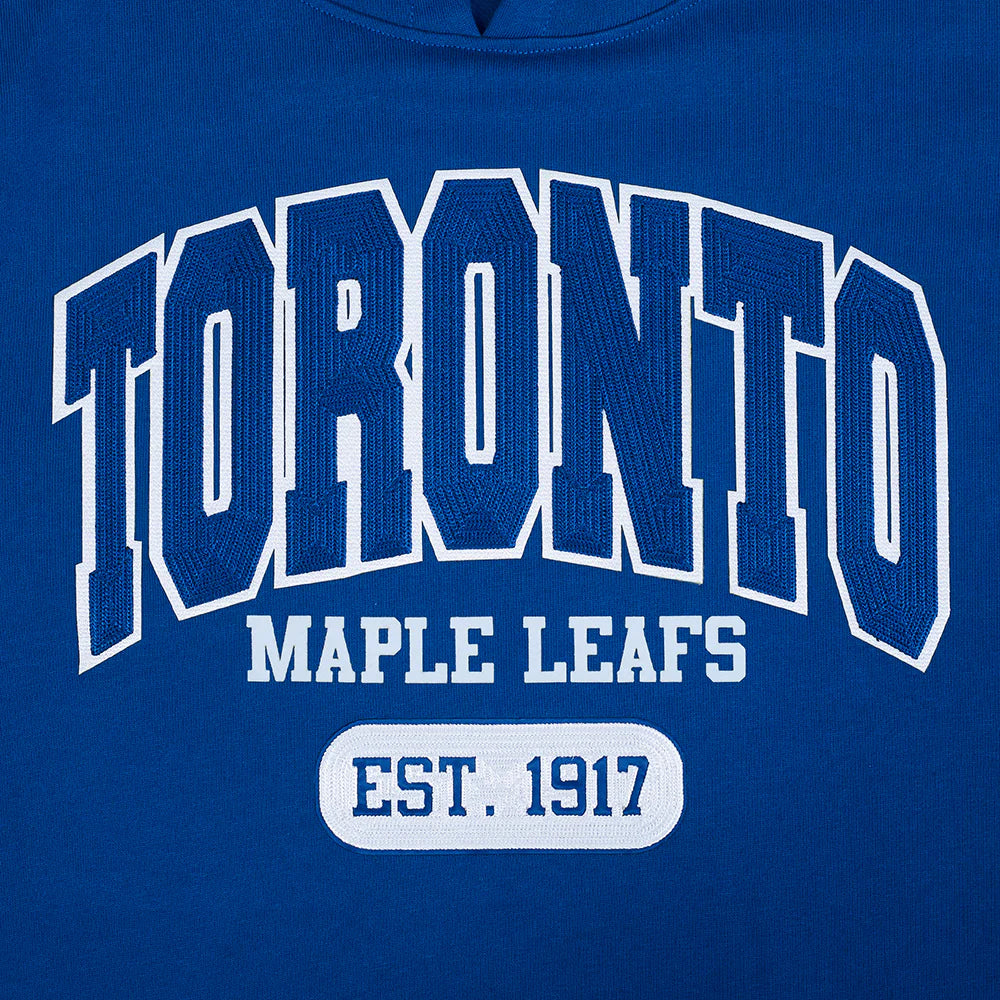 NHL TORONTO MAPLE LEAFS CITY ARCH MEN'S FLC PO HOODIE  Large