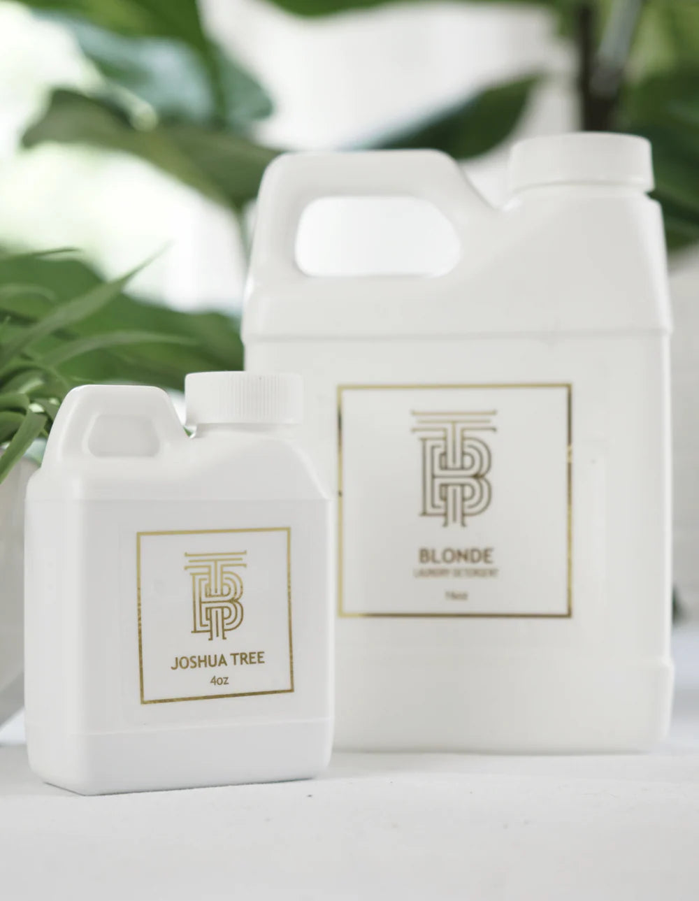 Laundry Detergent - Joshua Tree - 16oz.