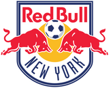 MLS Officially Licensed New York Red Bulls | 1996 Red Runs Deep | Grey