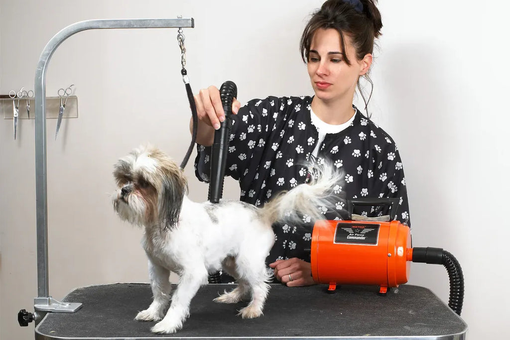Air Force® Commander Speed Pet Dryer