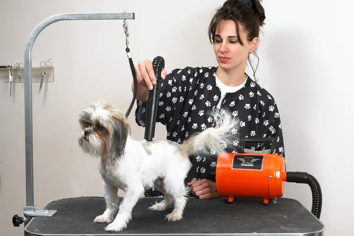 Air Force® Commander Speed Pet Dryer