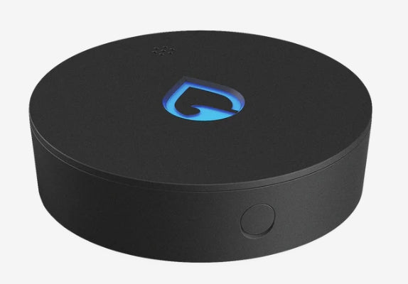 Phyn Smart Water Sensor