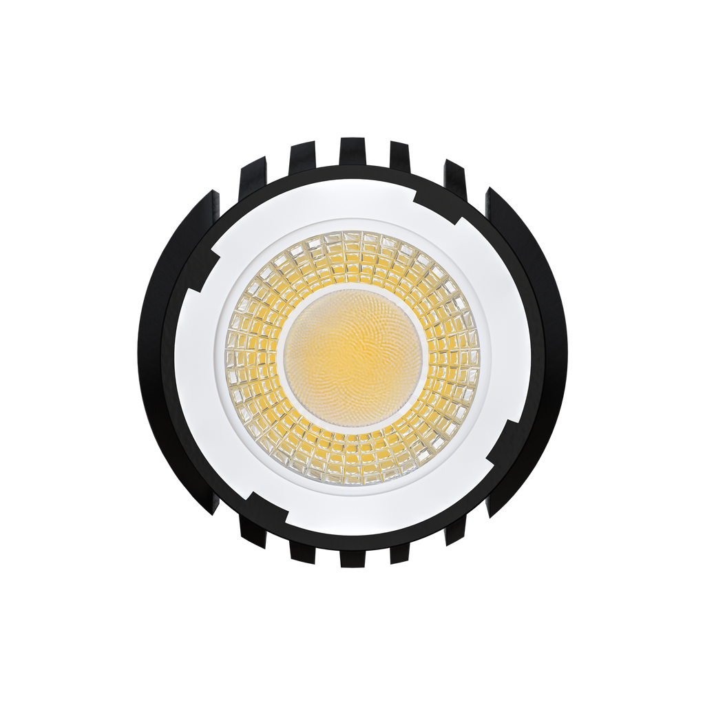 Goodlite 3 Inch 15W HO Interchangeable Module