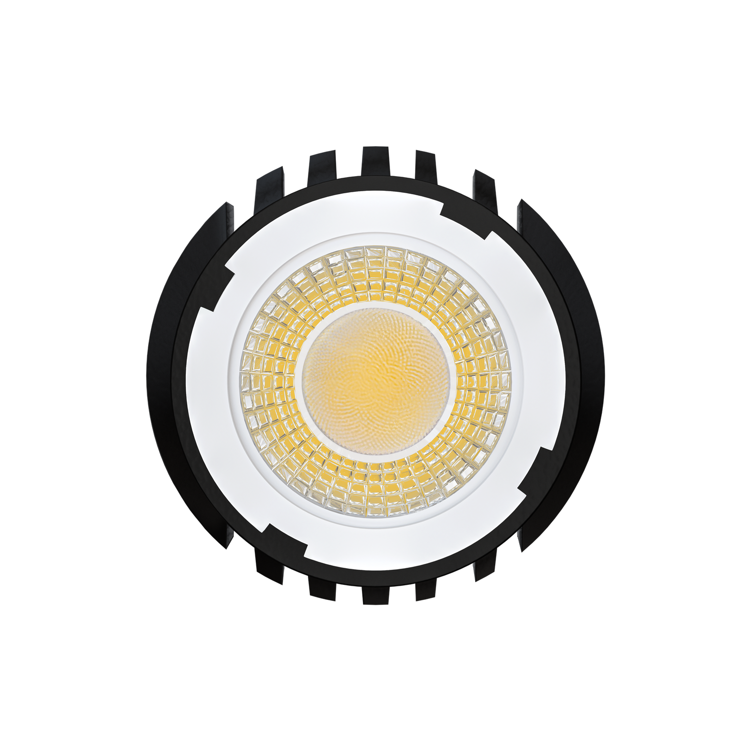 Goodlite 3 Inch 15W HO Interchangeable Module