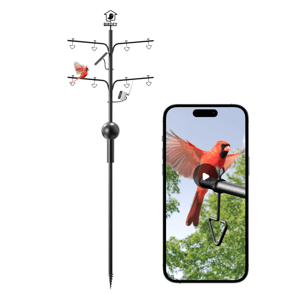 Birdfy Pole - Bird Feeder Pole