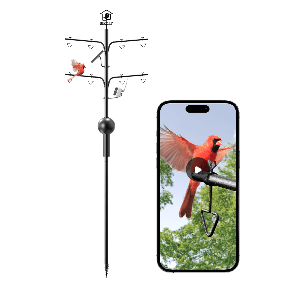 Birdfy Pole - Bird Feeder Pole