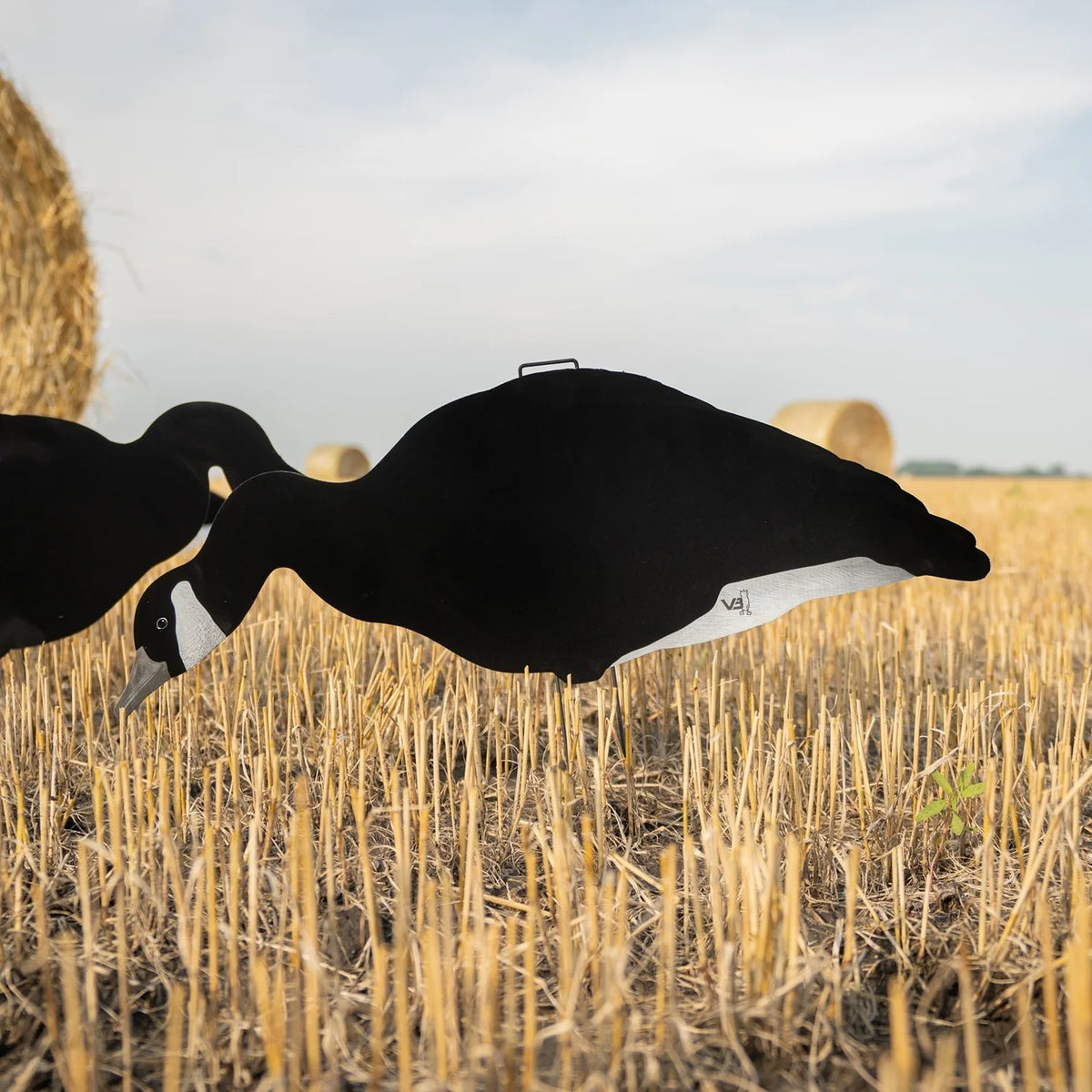 DIVE BOMB V3BW Flocked Black and White Silhouette Decoys - Feeder Pose - 12 Count