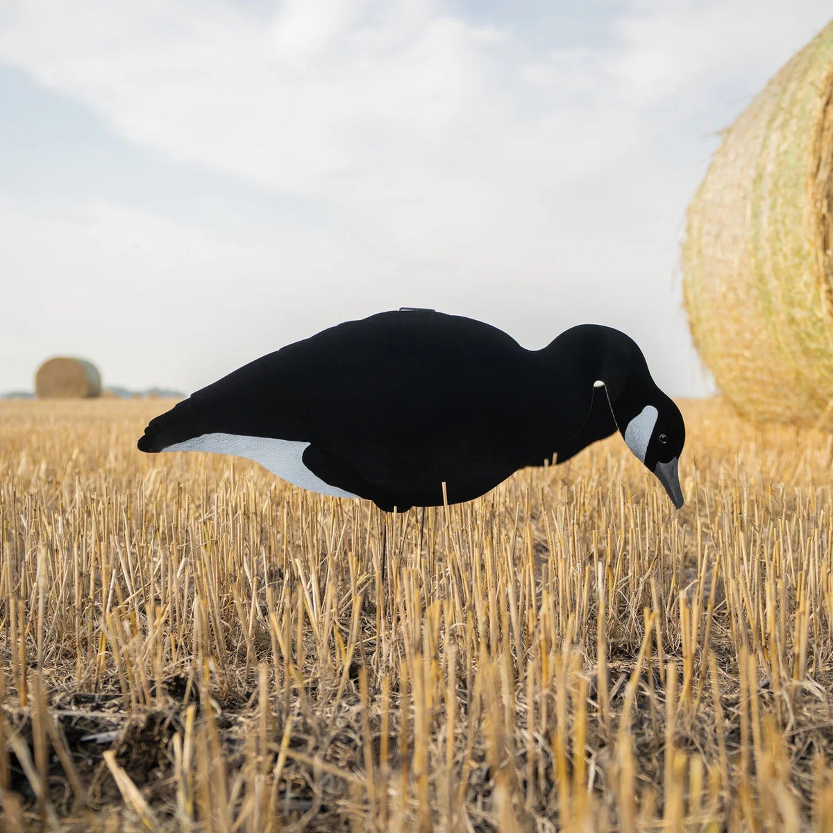 DIVE BOMB V3BW Flocked Black and White Silhouette Decoys - Feeder Pose - 12 Count