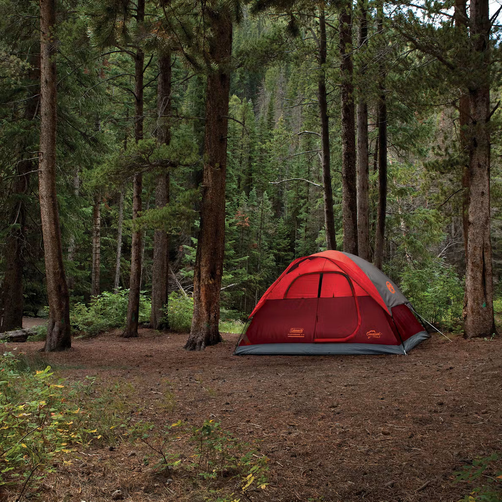 Coleman 4-Person Flatwoods II™ Lightweight Dome Camping Tent