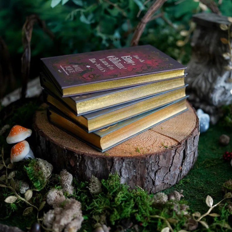 The Folk of the Air Box Set - Author Holly Black