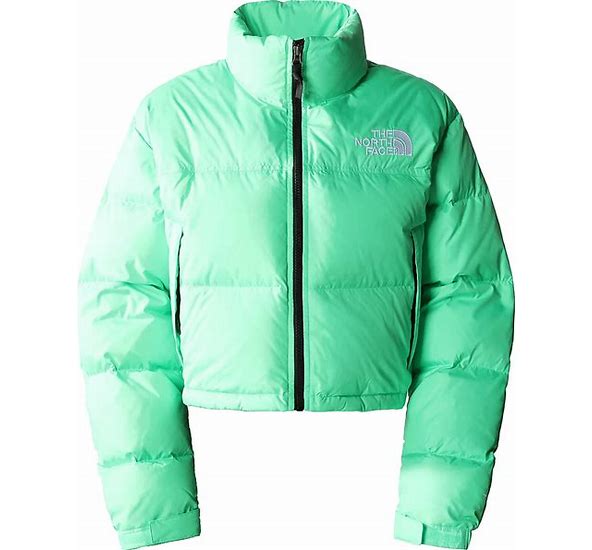 The North Face Division Nuptse Short Chlorophyll Green - NWT