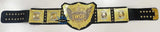 IWGP World Heavyweight Wrestling Championship V5 Replica Tittle  replica best gift for wrestling , boxing lover- Replacement Jewels Included !! (Minor Scuffs , and a couple Jewels missing on the front)