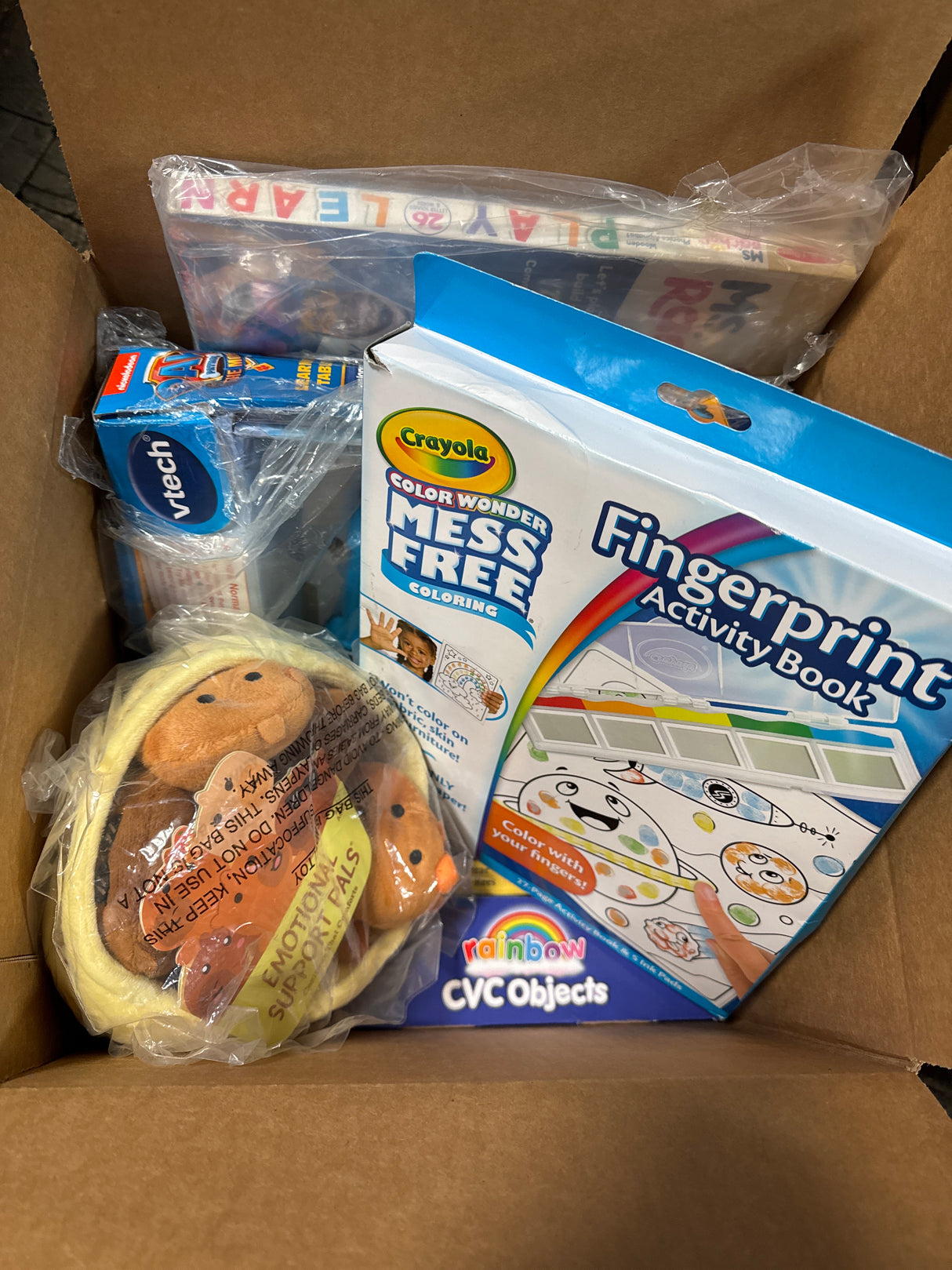 Mystery Box-Toddlers Treasures (2+), Pre-k