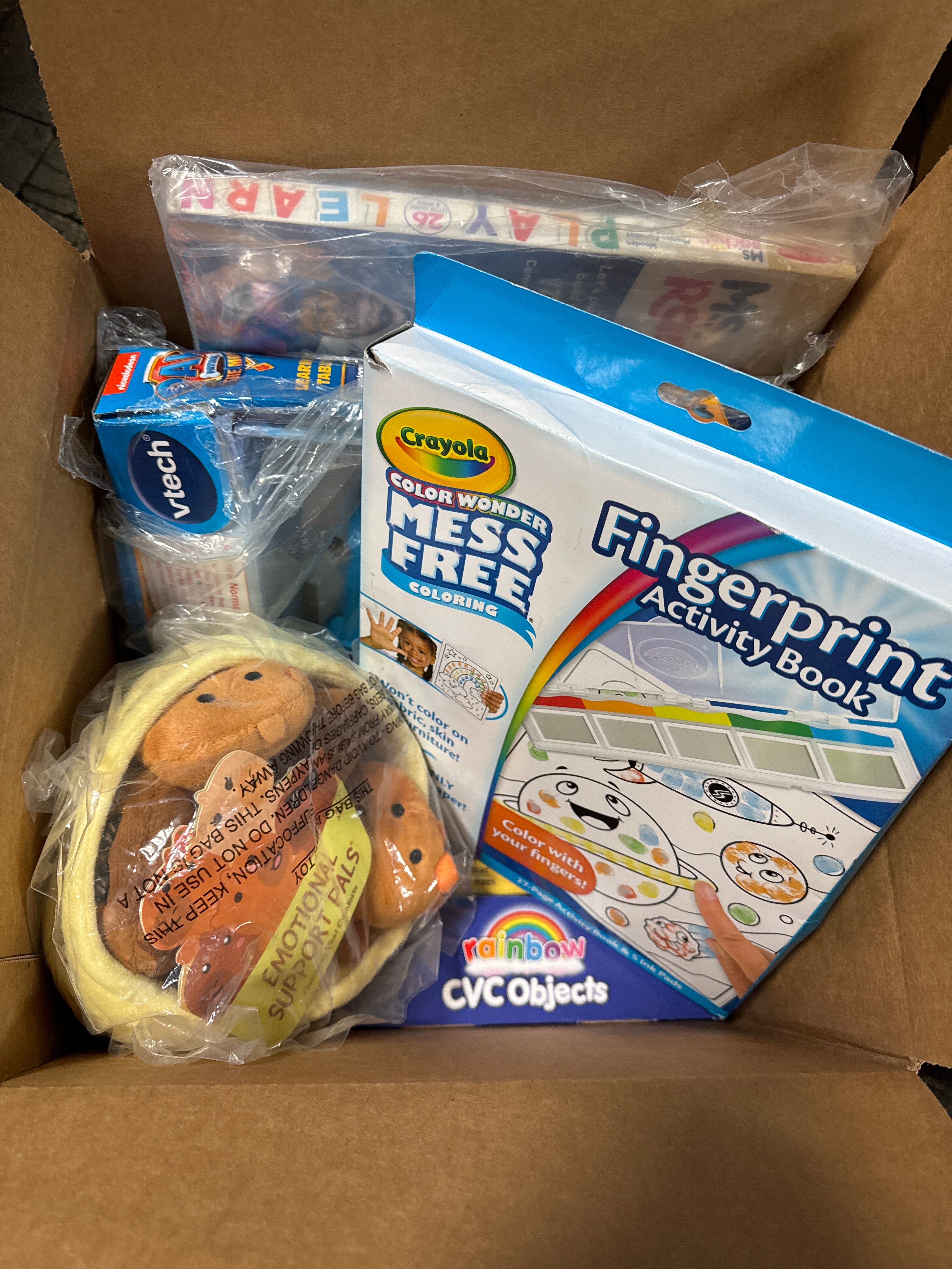 Mystery Box-Toddlers Treasures (2+), Pre-k