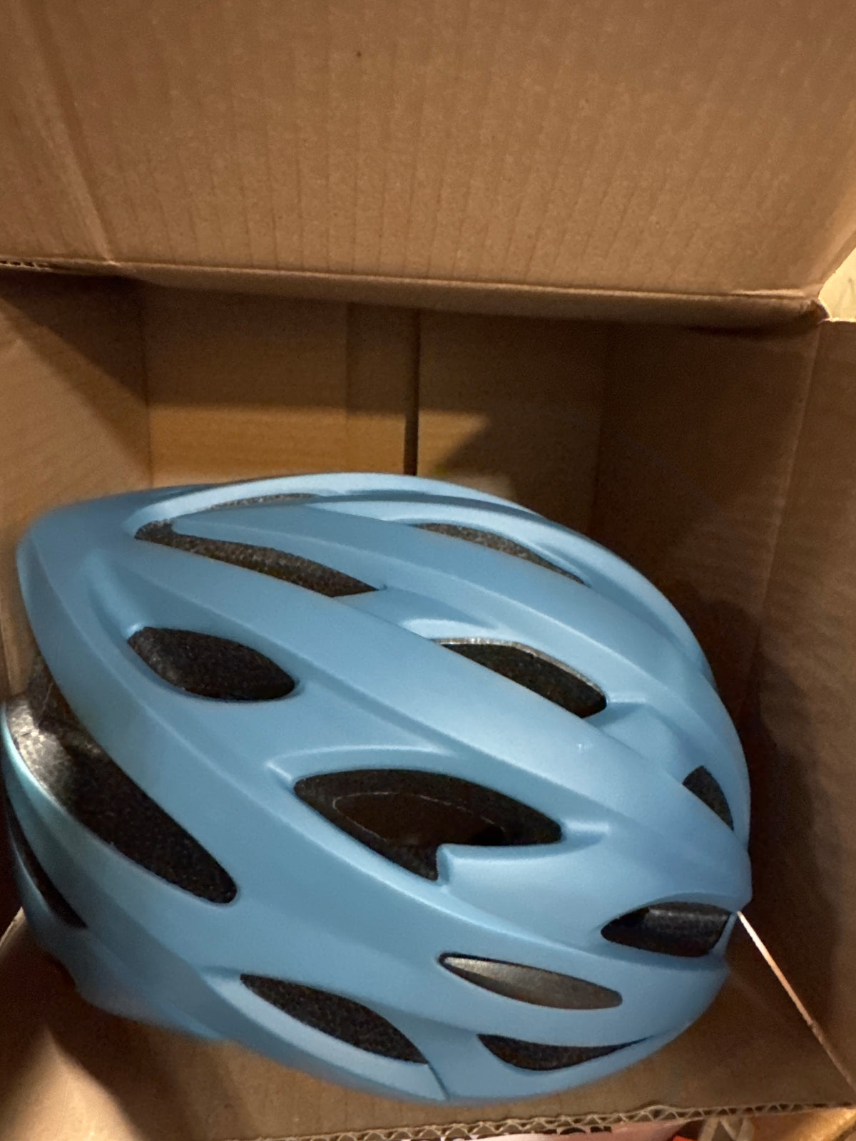 Retrospec Silas Adult Bike Helmet with Light for Men & Women - Lightweight, Comfortable, Matte Superior Blue