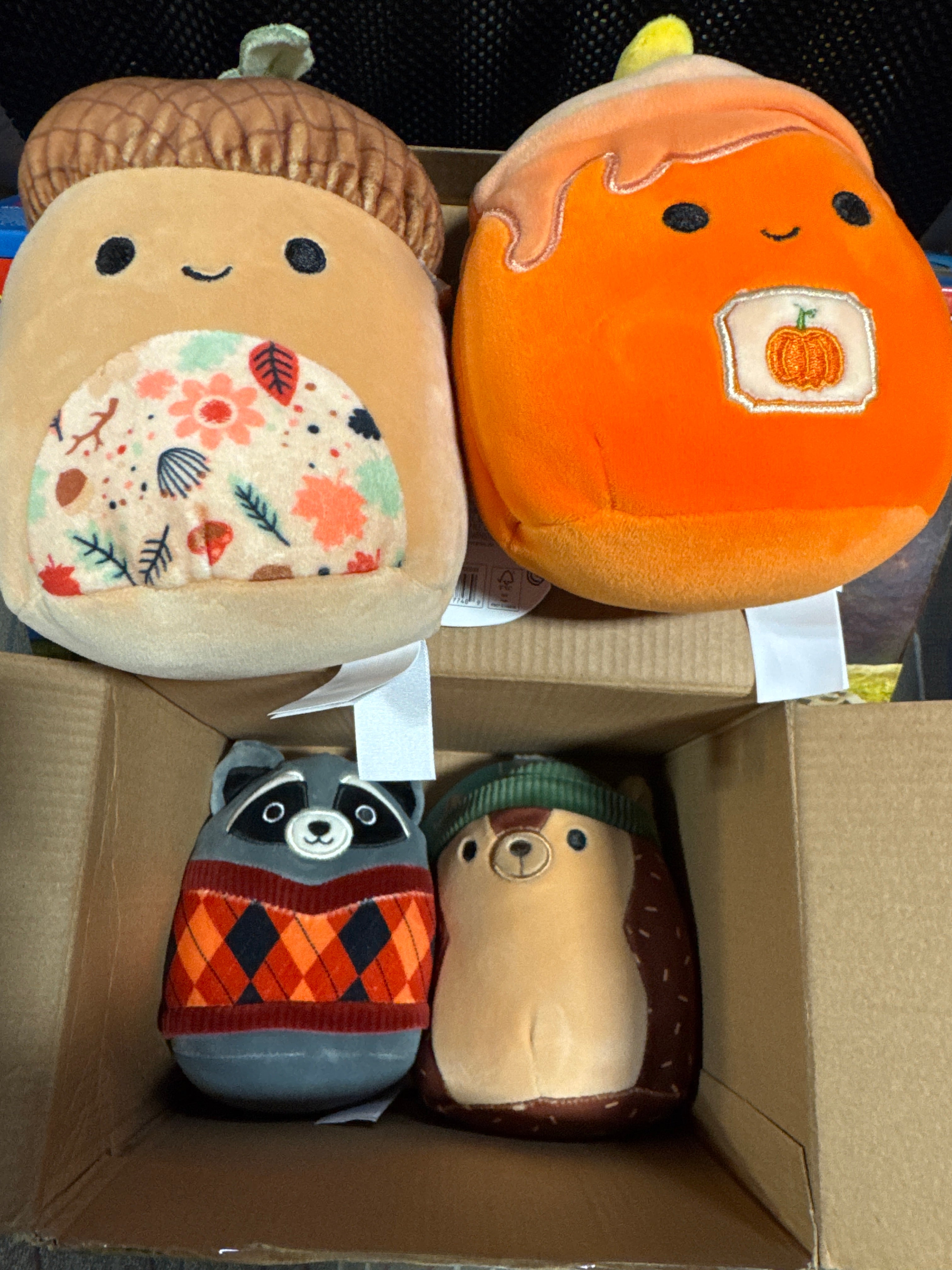 Squishmallows Original 5in Harvest 4-Pack – Hans Hedgehog, Mac Acorn, Misha Candle, Rocky Raccoon – Official Jazwares Plush (Little)