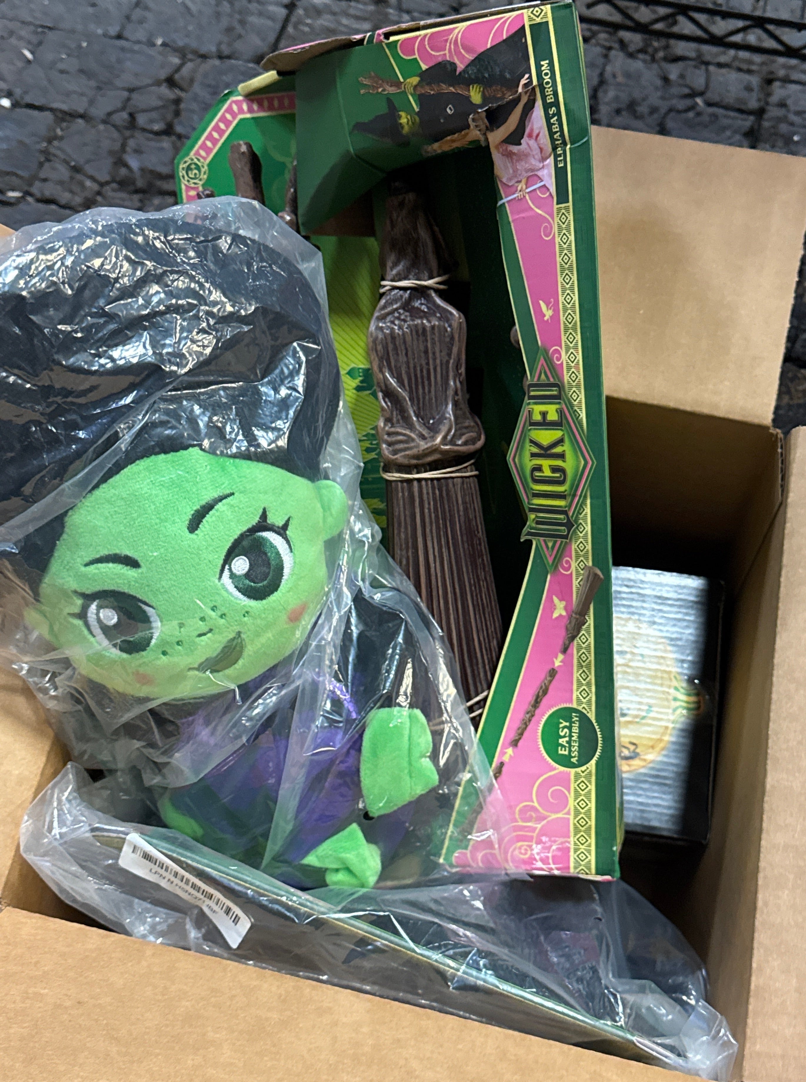 Wicked Mystery Box