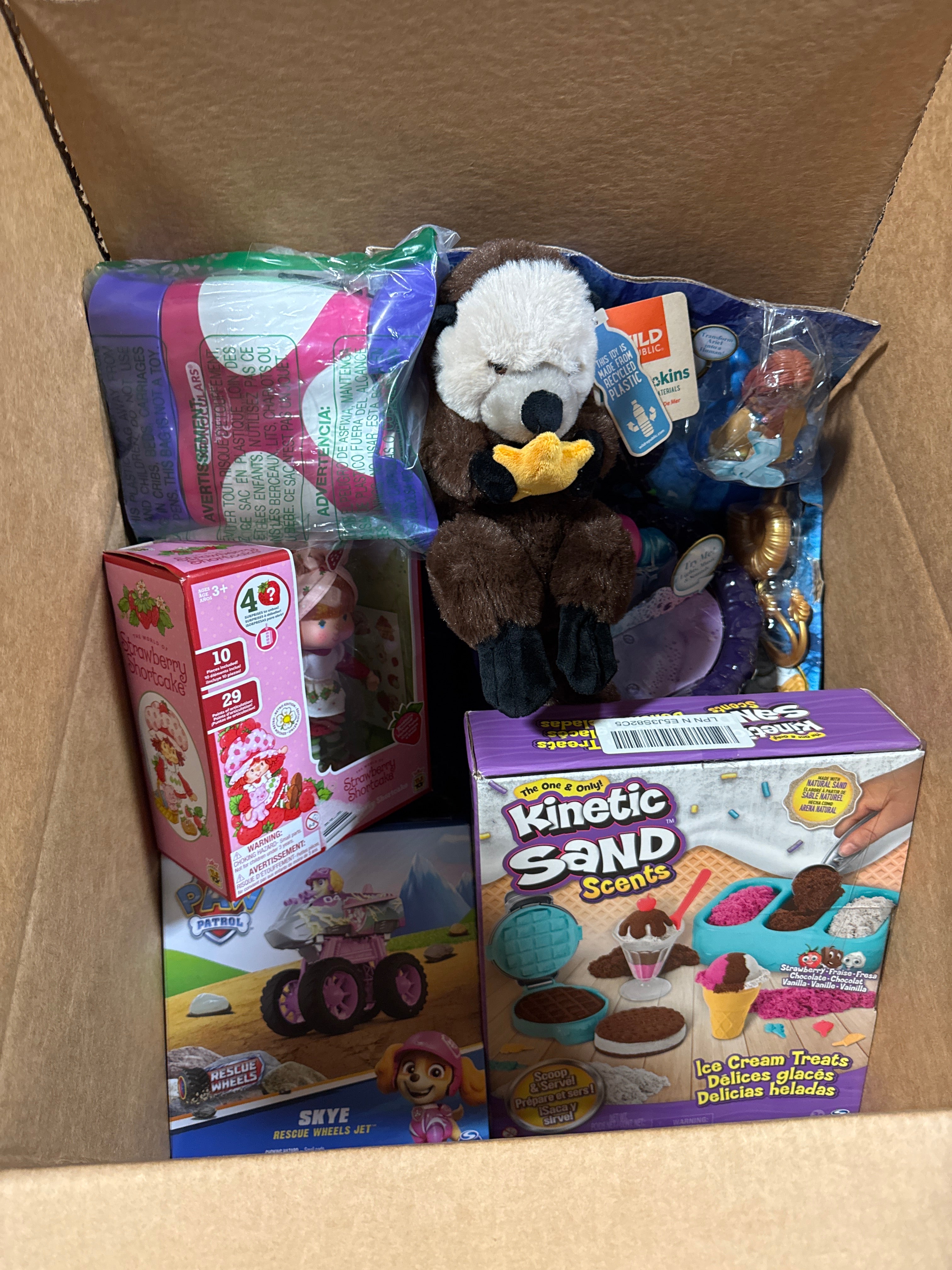 Enchanting Toy Mystery Box for Girls (2)