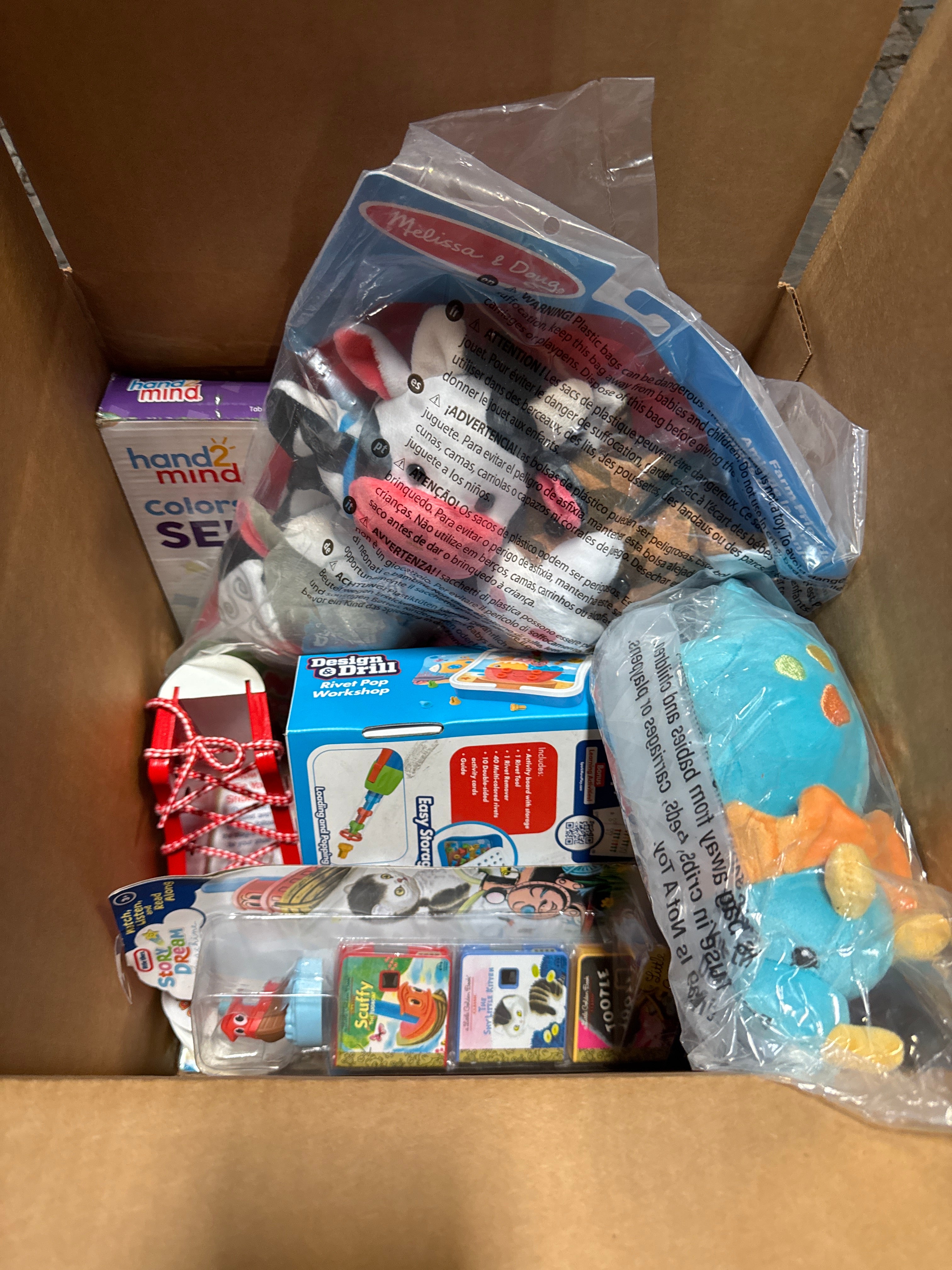 Toddler’s Treasure Mystery Box (Dino)