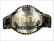 AEW TNT Heavyweight Wrestling Championship Replica title Belt Darby Allin Relentless Coffin Drop (Minor Scuffs)