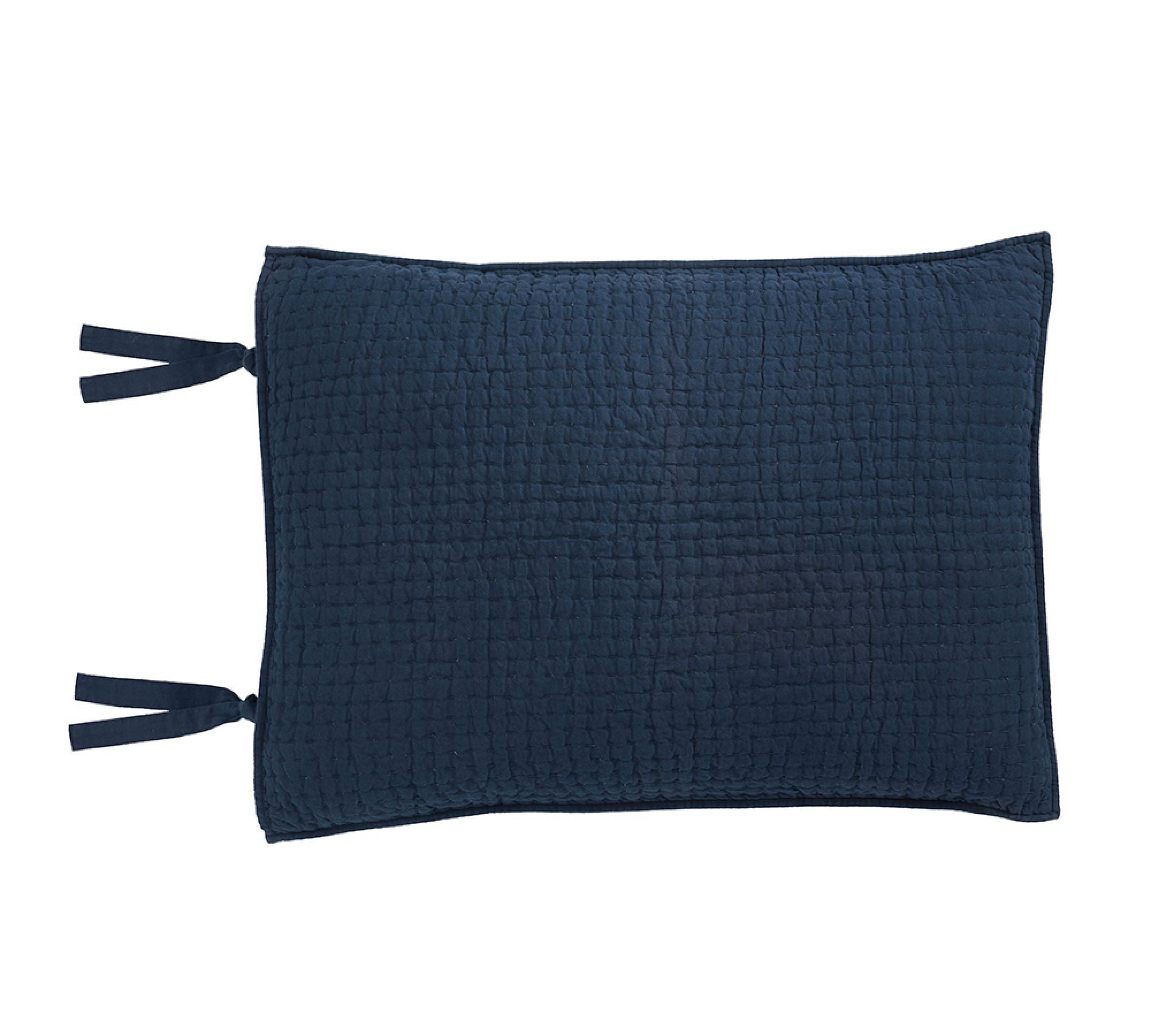 Pottery Barn Handcrafted Quilted Sham (20 in. x 26 in.)
